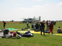 in Fa�berg 2002